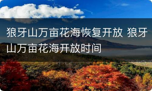 狼牙山万亩花海恢复开放 狼牙山万亩花海开放时间