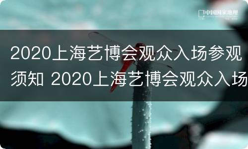 2020上海艺博会观众入场参观须知 2020上海艺博会观众入场参观须知视频