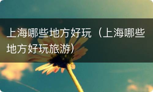 上海哪些地方好玩（上海哪些地方好玩旅游）