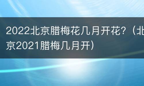 2022北京腊梅花几月开花?（北京2021腊梅几月开）
