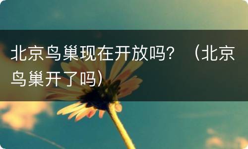 北京鸟巢现在开放吗？（北京鸟巢开了吗）