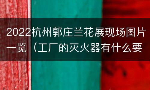 2022杭州郭庄兰花展现场图片一览（工厂的灭火器有什么要求）