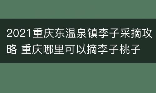 2021重庆东温泉镇李子采摘攻略 重庆哪里可以摘李子桃子