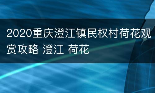 2020重庆澄江镇民权村荷花观赏攻略 澄江 荷花