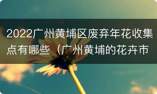 2022广州黄埔区废弃年花收集点有哪些（广州黄埔的花卉市场）