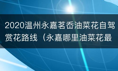 2020温州永嘉茗岙油菜花自驾赏花路线（永嘉哪里油菜花最好看）