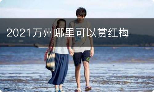 2021万州哪里可以赏红梅