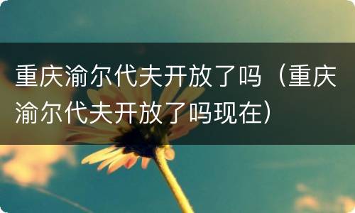 重庆渝尔代夫开放了吗（重庆渝尔代夫开放了吗现在）