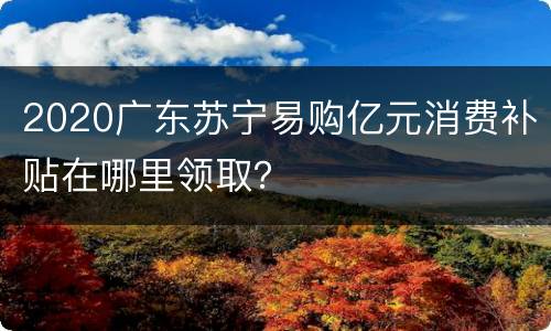 2020广东苏宁易购亿元消费补贴在哪里领取？