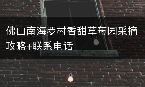 佛山南海罗村香甜草莓园采摘攻略+联系电话