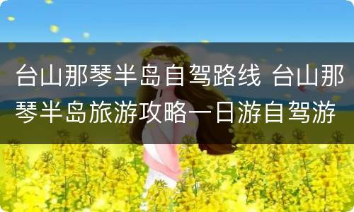 台山那琴半岛自驾路线 台山那琴半岛旅游攻略一日游自驾游导航