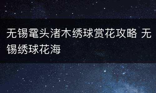 无锡鼋头渚木绣球赏花攻略 无锡绣球花海