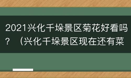 2021兴化千垛景区菊花好看吗？（兴化千垛景区现在还有菜花吗）