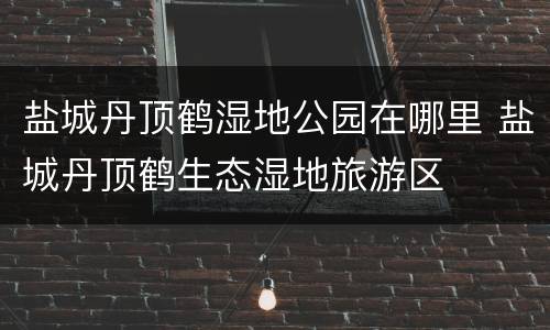 盐城丹顶鹤湿地公园在哪里 盐城丹顶鹤生态湿地旅游区