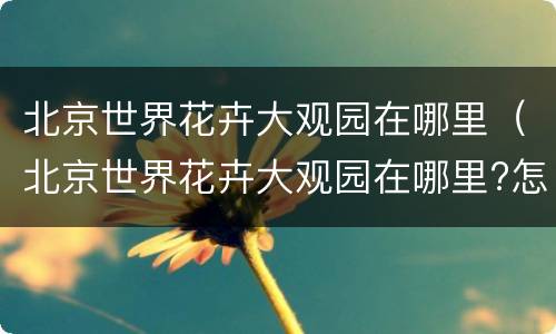 北京世界花卉大观园在哪里（北京世界花卉大观园在哪里?怎么坐车?）