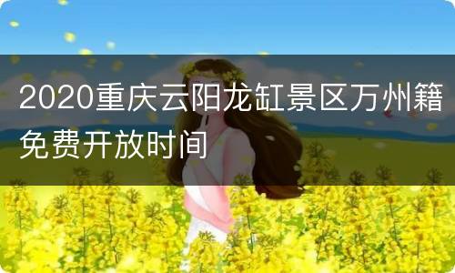 2020重庆云阳龙缸景区万州籍免费开放时间
