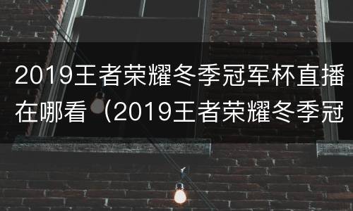 2019王者荣耀冬季冠军杯直播在哪看（2019王者荣耀冬季冠军杯决赛）