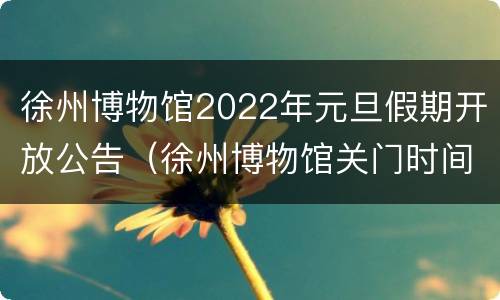 徐州博物馆2022年元旦假期开放公告（徐州博物馆关门时间）