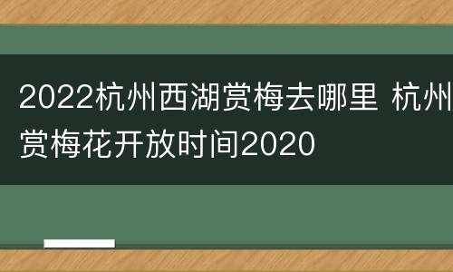 2022杭州西湖赏梅去哪里 杭州赏梅花开放时间2020