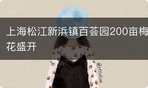 上海松江新浜镇百荟园200亩梅花盛开