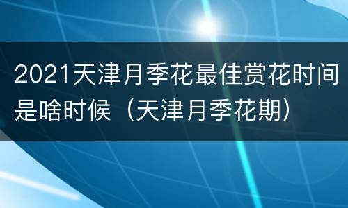 2021天津月季花最佳赏花时间是啥时候（天津月季花期）