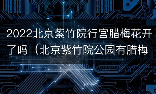 2022北京紫竹院行宫腊梅花开了吗（北京紫竹院公园有腊梅花吗）