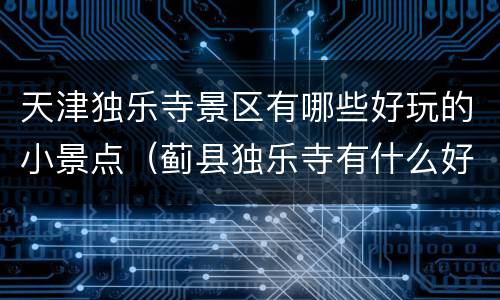 天津独乐寺景区有哪些好玩的小景点（蓟县独乐寺有什么好玩的）