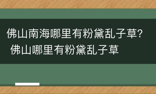 佛山南海哪里有粉黛乱子草？ 佛山哪里有粉黛乱子草