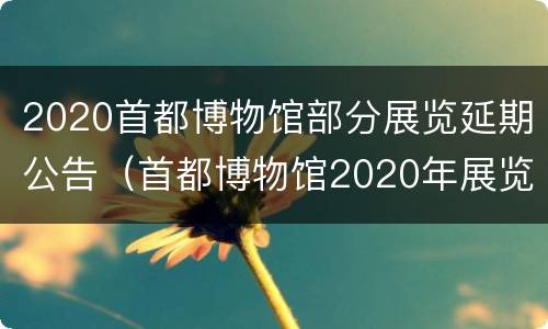 2020首都博物馆部分展览延期公告（首都博物馆2020年展览）