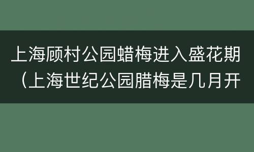 上海顾村公园蜡梅进入盛花期（上海世纪公园腊梅是几月开花）