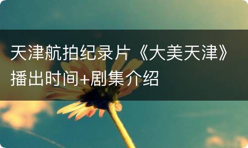 天津航拍纪录片《大美天津》播出时间+剧集介绍
