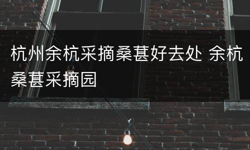 杭州余杭采摘桑葚好去处 余杭桑葚采摘园