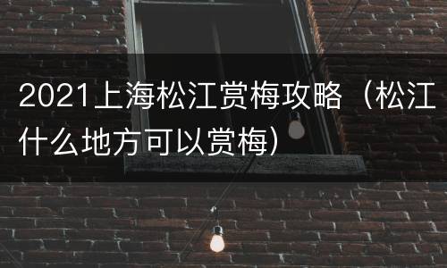 2021上海松江赏梅攻略（松江什么地方可以赏梅）