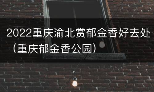 2022重庆渝北赏郁金香好去处（重庆郁金香公园）