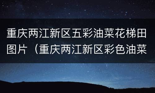 重庆两江新区五彩油菜花梯田图片（重庆两江新区彩色油菜花）