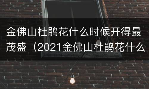 金佛山杜鹃花什么时候开得最茂盛（2021金佛山杜鹃花什么时候开得最茂盛）