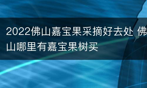 2022佛山嘉宝果采摘好去处 佛山哪里有嘉宝果树买