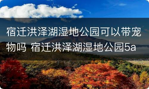 宿迁洪泽湖湿地公园可以带宠物吗 宿迁洪泽湖湿地公园5a