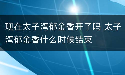 现在太子湾郁金香开了吗 太子湾郁金香什么时候结束