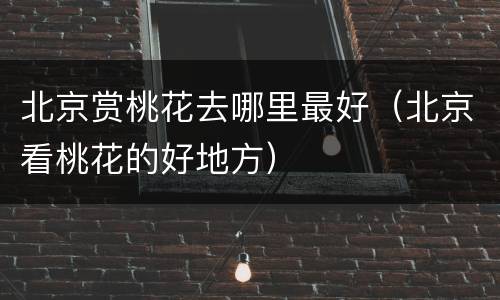 北京赏桃花去哪里最好（北京看桃花的好地方）