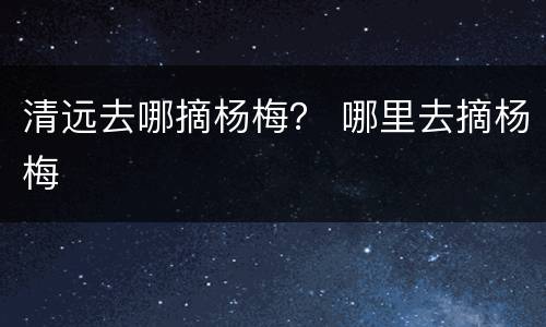 清远去哪摘杨梅？ 哪里去摘杨梅
