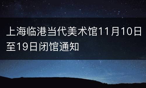 上海临港当代美术馆11月10日至19日闭馆通知