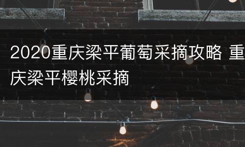 2020重庆梁平葡萄采摘攻略 重庆梁平樱桃采摘