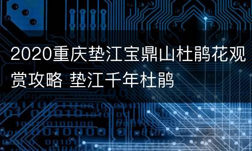 2020重庆垫江宝鼎山杜鹃花观赏攻略 垫江千年杜鹃