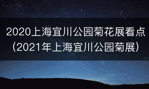 2020上海宜川公园菊花展看点（2021年上海宜川公园菊展）