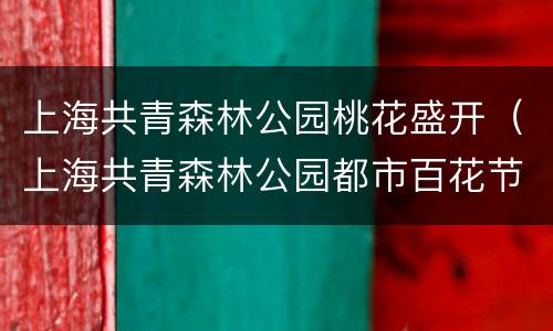 上海共青森林公园桃花盛开（上海共青森林公园都市百花节）