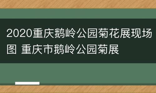2020重庆鹅岭公园菊花展现场图 重庆市鹅岭公园菊展