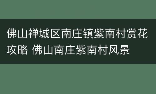 佛山禅城区南庄镇紫南村赏花攻略 佛山南庄紫南村风景