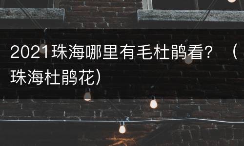 2021珠海哪里有毛杜鹃看？（珠海杜鹃花）