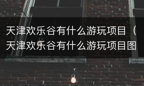 天津欢乐谷有什么游玩项目（天津欢乐谷有什么游玩项目图片）